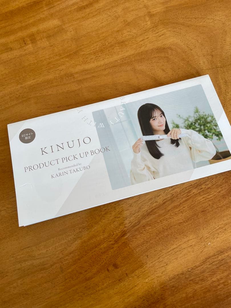 【未使用】KINUJO MINI IRON -deux- KM001