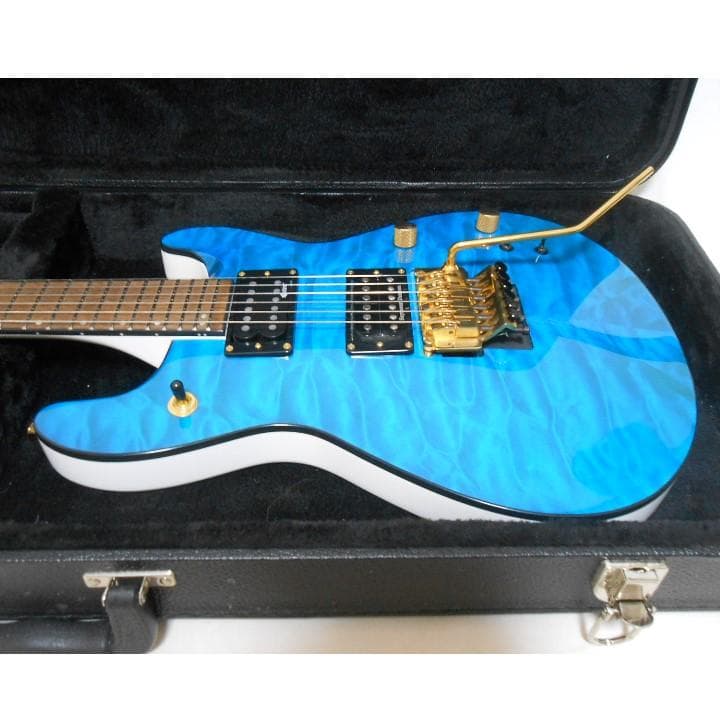 美品 サスティナー搭載！ FERNANDES APG-85S ダンカンPU - メルカリ