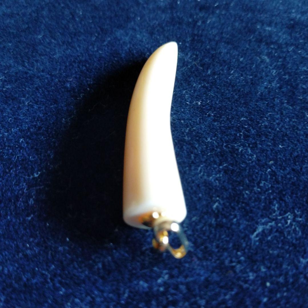 値下げ】鯨歯 マッコウクジラ 牙ペンダントトップ ① - メルカリ
