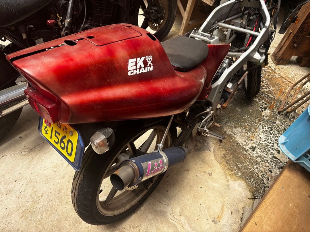 ニンゲン！ Kombi Sanctum GORE-TEX Mitt (Women's) - Peter Glenn Ski and Sports