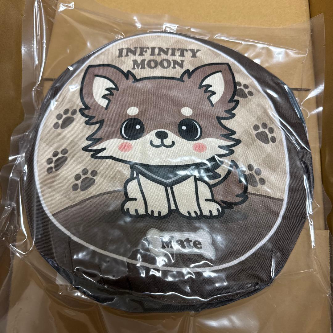 TA adidas ZX 8000 GORE-TEX Spikeless Golf Shoes – Pacsports