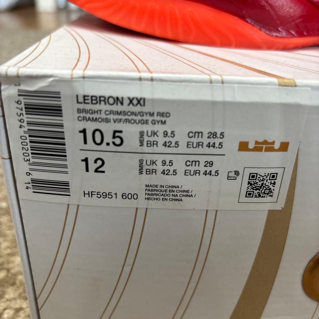 NIKE LEBRON XXⅡ EP 28.5cm