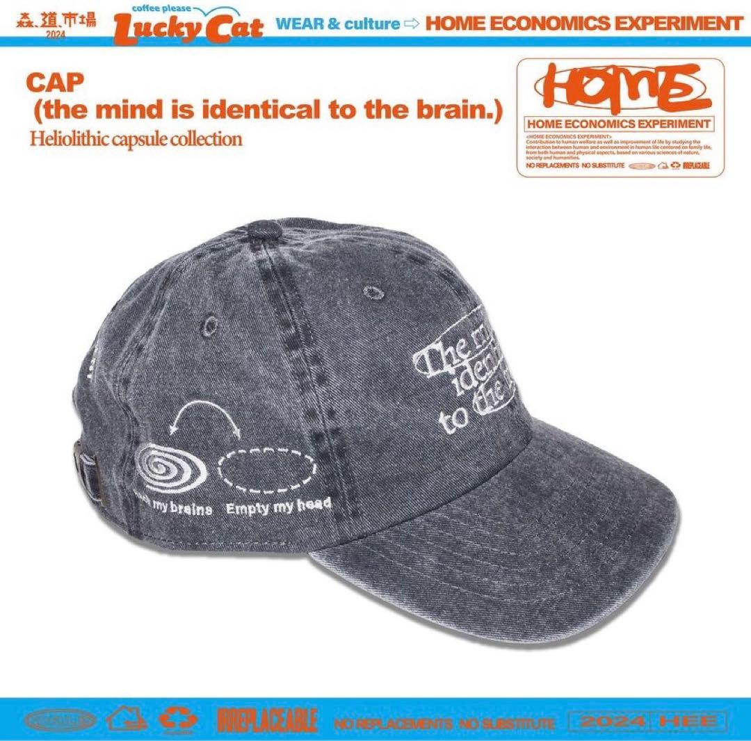 希少】HOME ECONOMICS EXPERIMENT cap キャップ - メルカリ