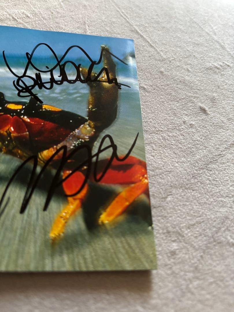 レア ザ・プロディジー The Prodigy直筆サインCD キースプリント