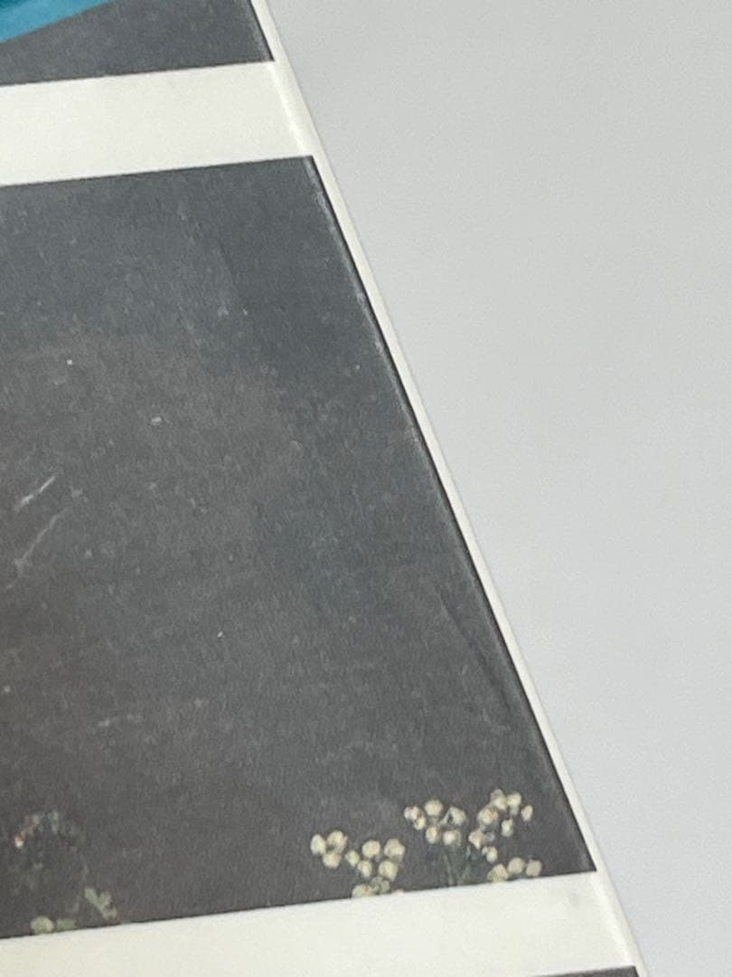 ヒトリエ IKI 初回生産限定盤 CD＋DVD