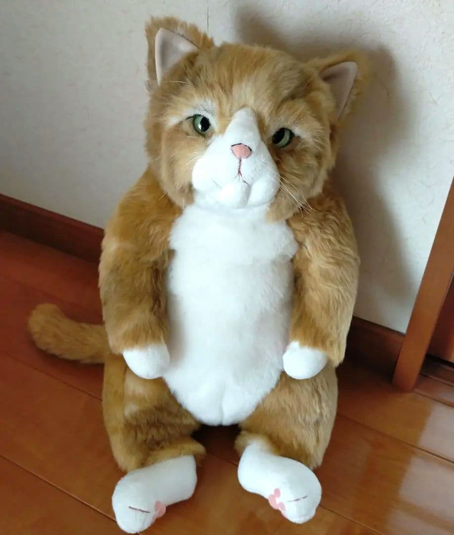 カドリー cuddlyわさ美 Wasabi 「手編みのカーディガン付き」 お振込み後の発送商品】Cuddly(カドリー) わさ美 – 鎌倉ねこサロン