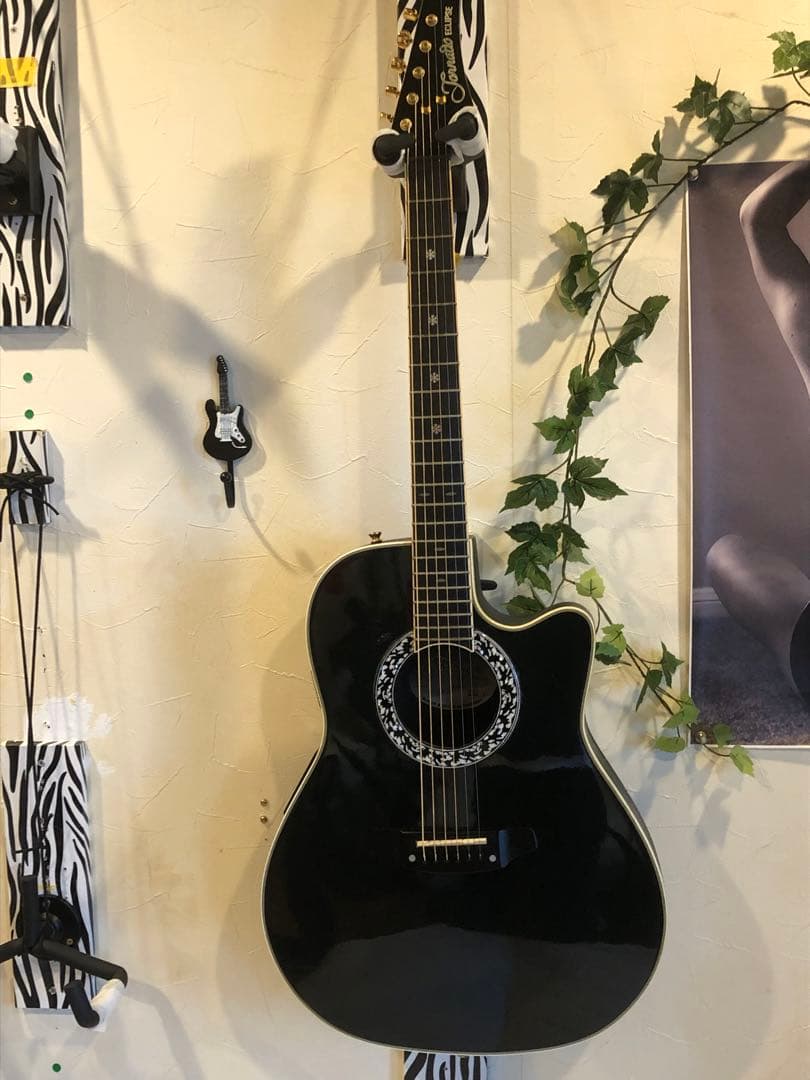 モーリス TornadoEclipseアコースティックギターハードケース付き ギターケース アコースティック (ハードケース ドレッドノート) KC