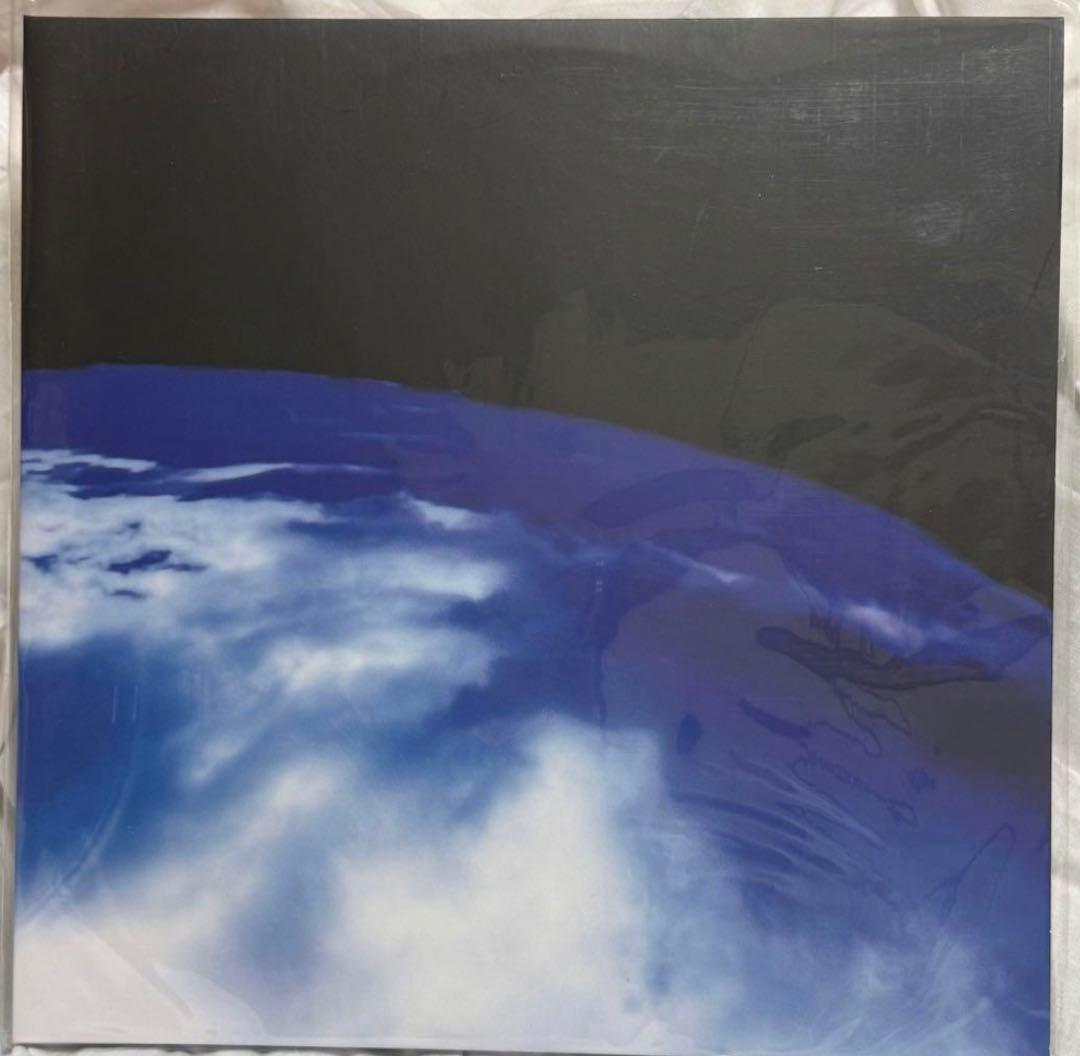 踊ってばかりの国『私は月には行かないだろう』レコード LP 2026年最新】踊ってばかりの国 lpの人気アイテム - メルカリ