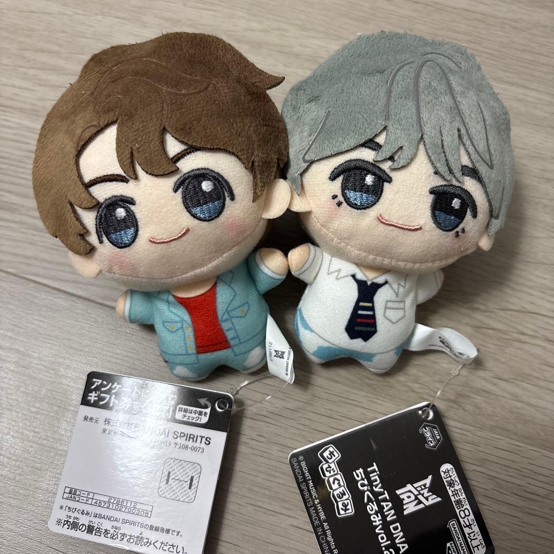 BTS TinyTAN DNA ちびぐるみ V テテ グク 2種セット - メルカリ