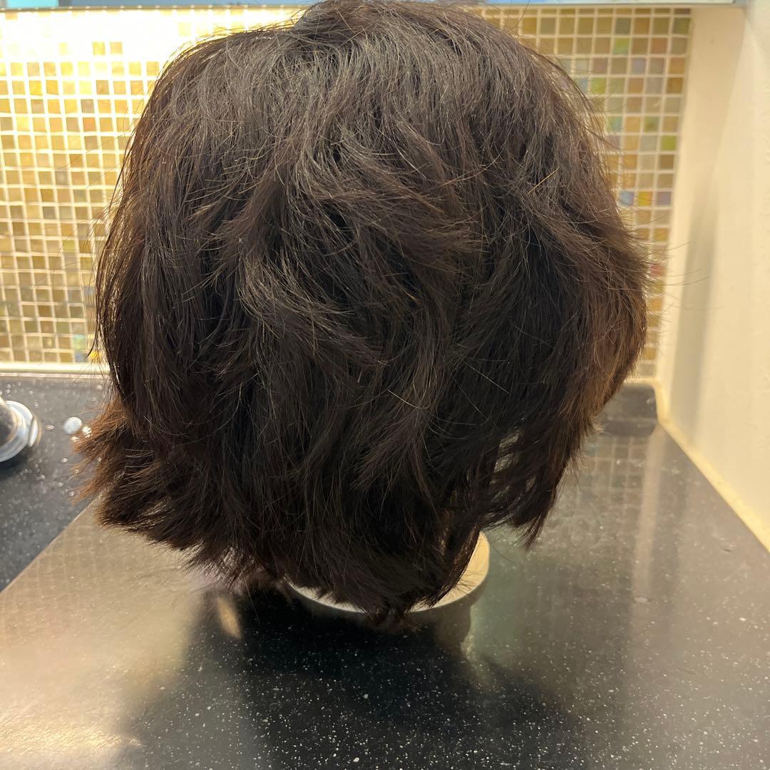 レジーナ ワインディングウィッグ 美容師国家試験 - メルカリ