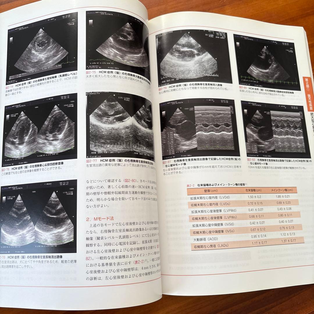 最終値下げ⭐︎写真で学ぶ犬と猫の心エコ―図検査のABC―基本断面描出