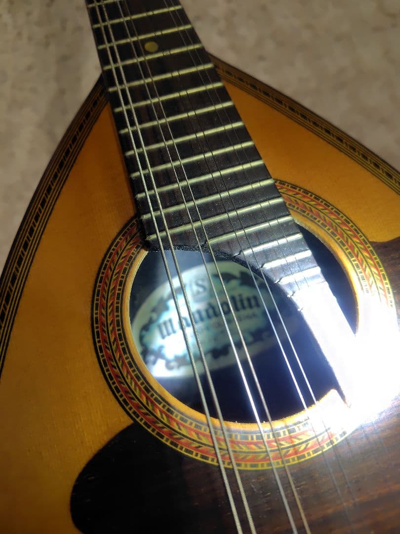 スズキ マンドリン No.70 KISO HUKUSHIMA ハードケース付き - メルカリ