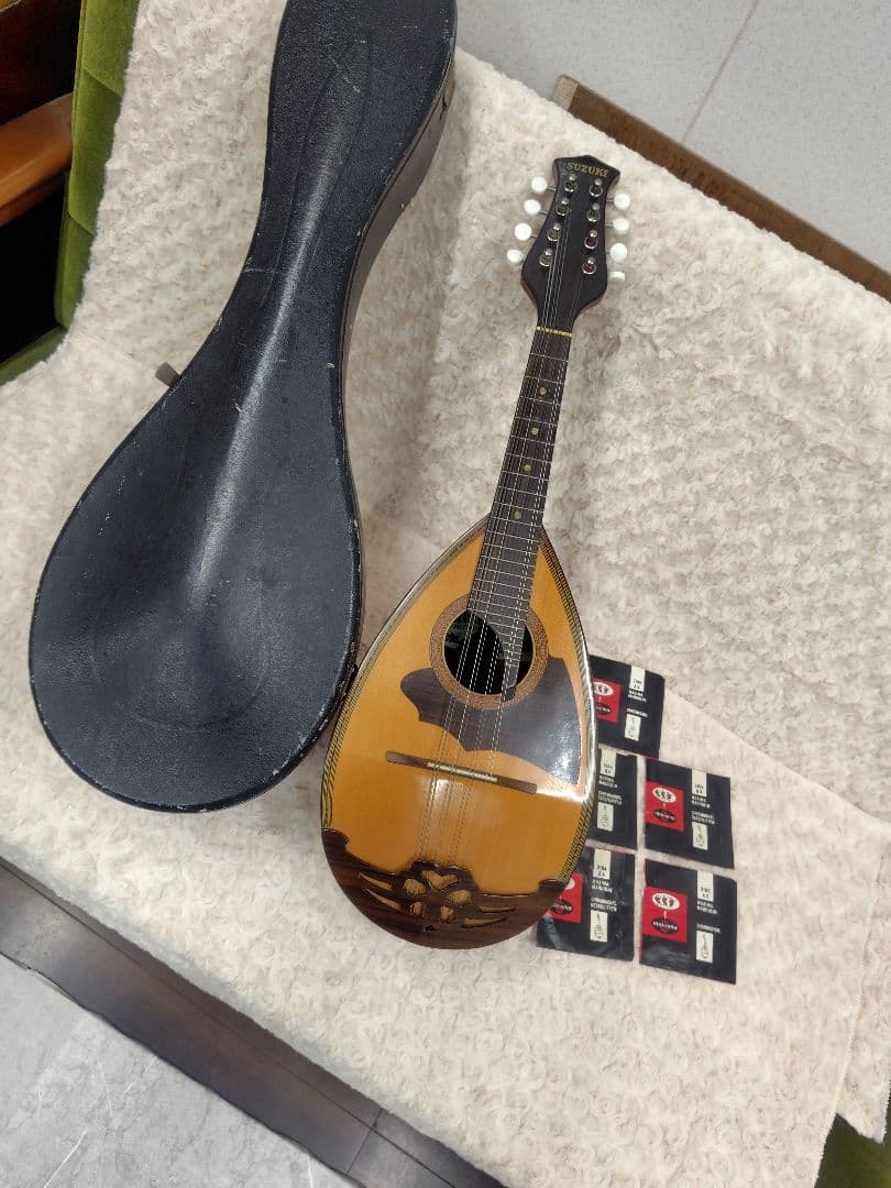 スズキ マンドリン No.70 KISO HUKUSHIMA ハードケース付き - メルカリ