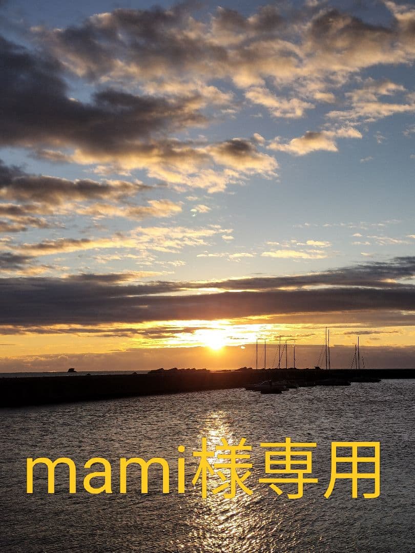 かごバッグ mami MADE IN MADA /メイドインマダ】ワンハンドル かごバッグ【WEB限定