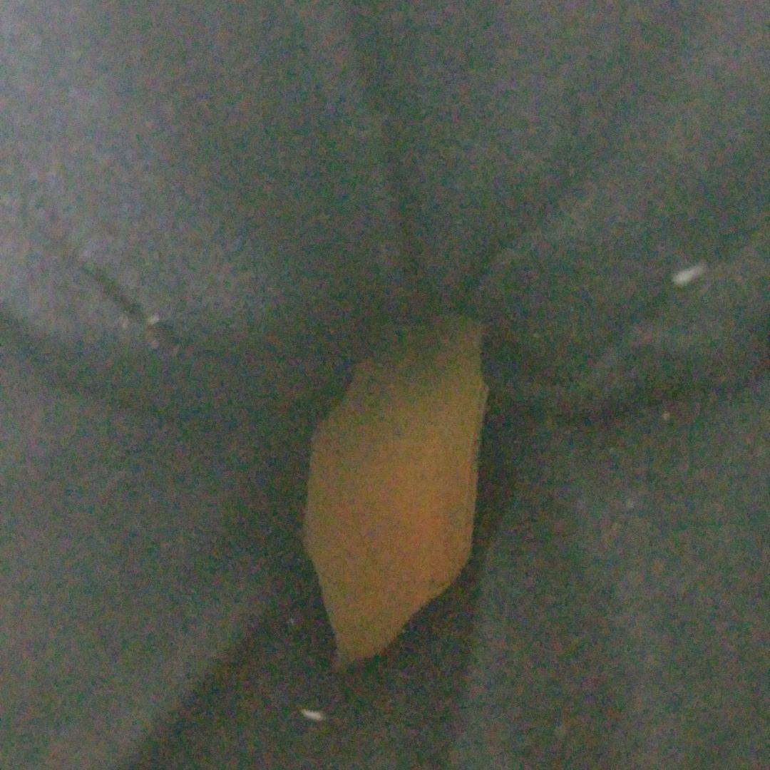 テクニカ　TFCNICA エントリーエックス　スキーブーツ　27.5cm