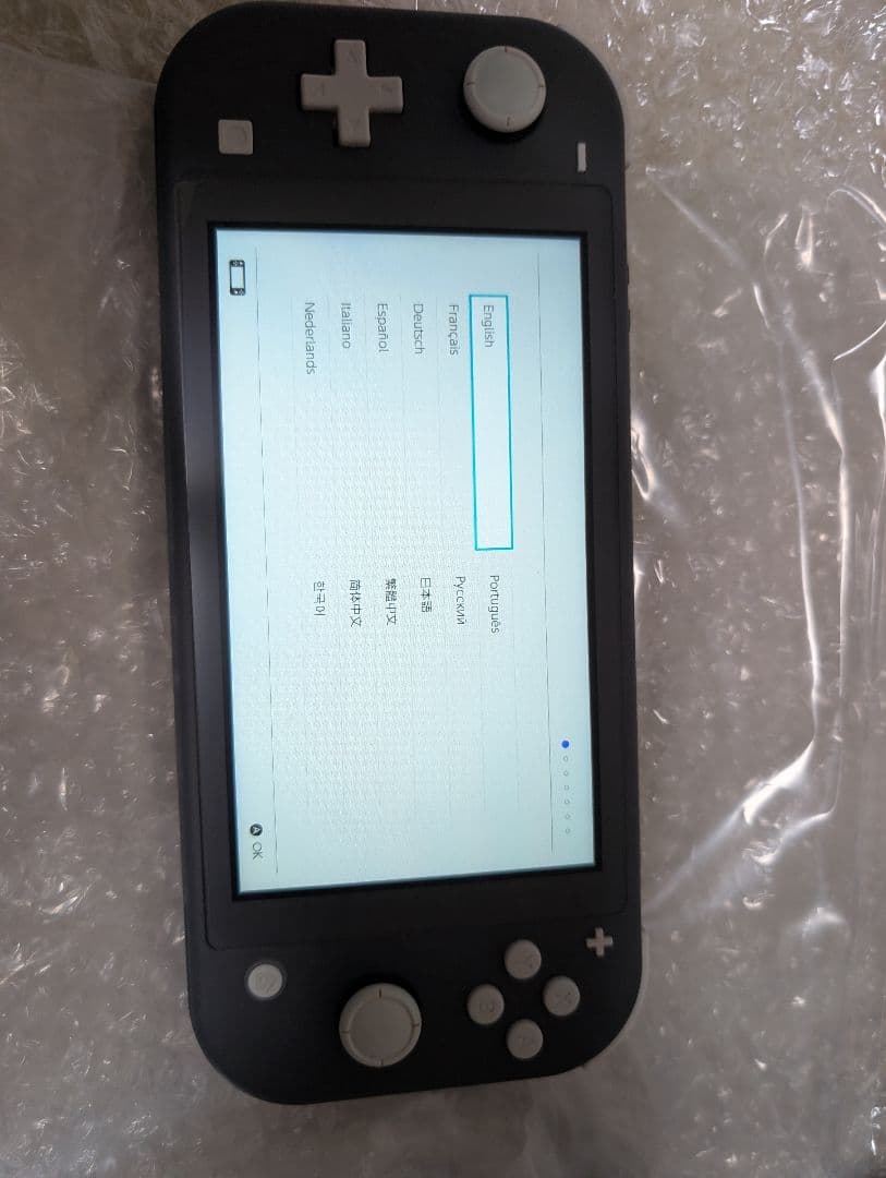 Nintendo Switch Lite グレー 本体 箱あり モンハンライズ付