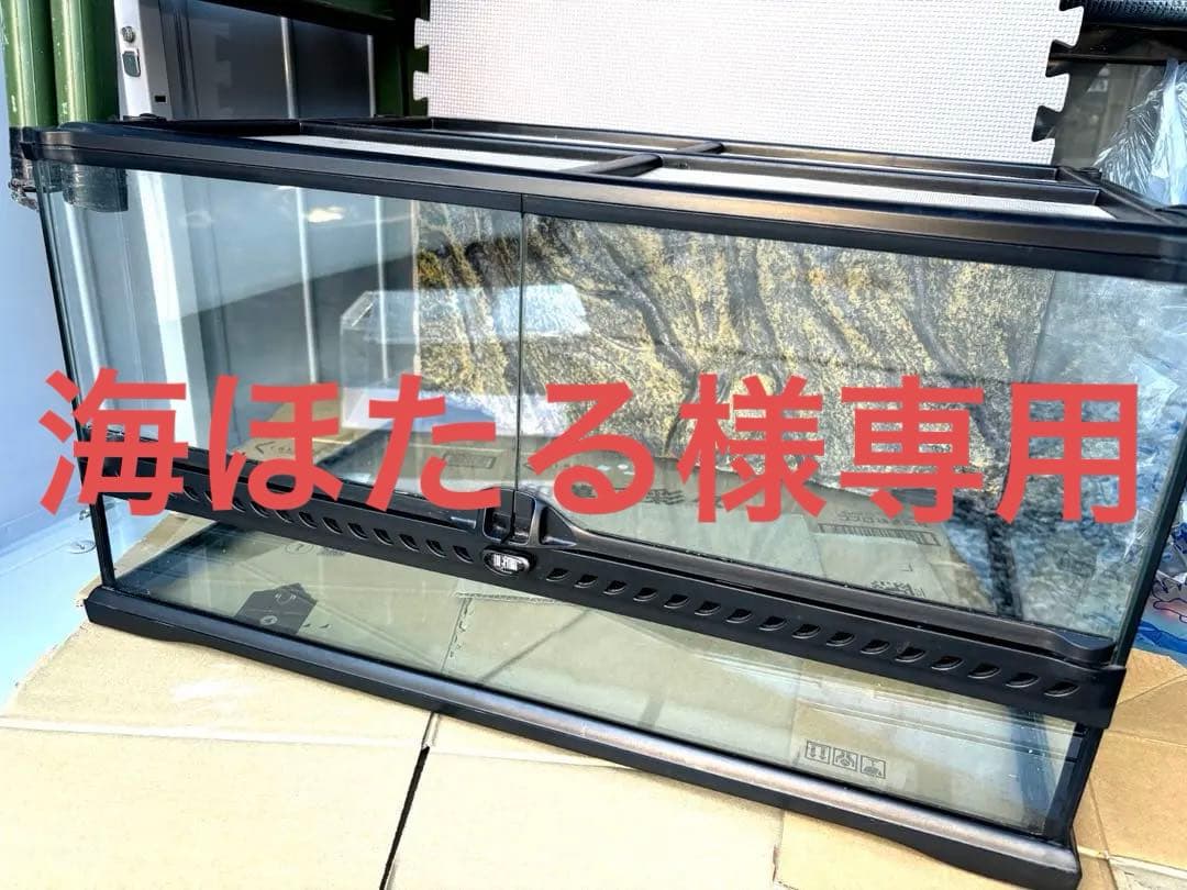 エキゾテラ GEX EXOTERRA GEX 6030 手渡し限定 Amazon | エキゾテラ GEX EXOTERRA グラステラリウム6030 PT2604