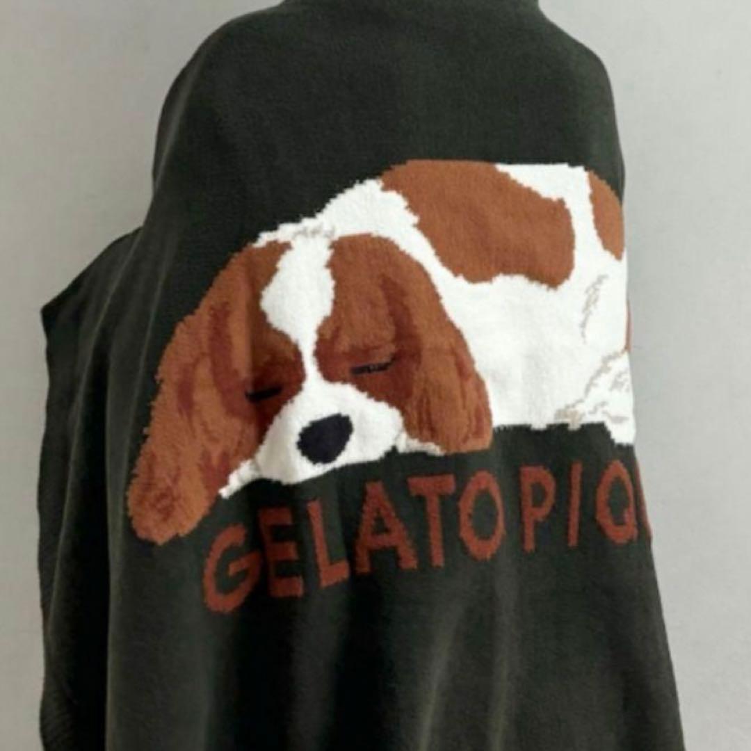 ジェラートピケ SLEEPING DOG ジャガードブランケット キャバリア柄