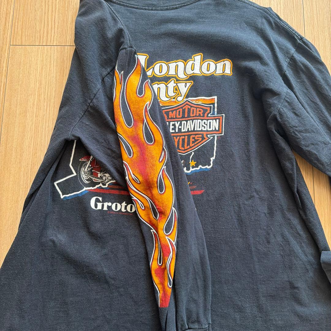 HARLEY-DAVIDSON ロングスリーブTシャツ 袖フレイム - メルカリ