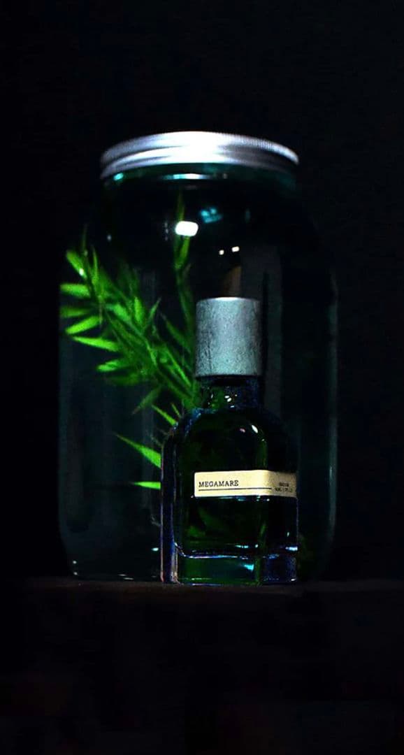 MEGAMARE ORTO PARISI 香水 メガマーレ 海 50ml - メルカリ