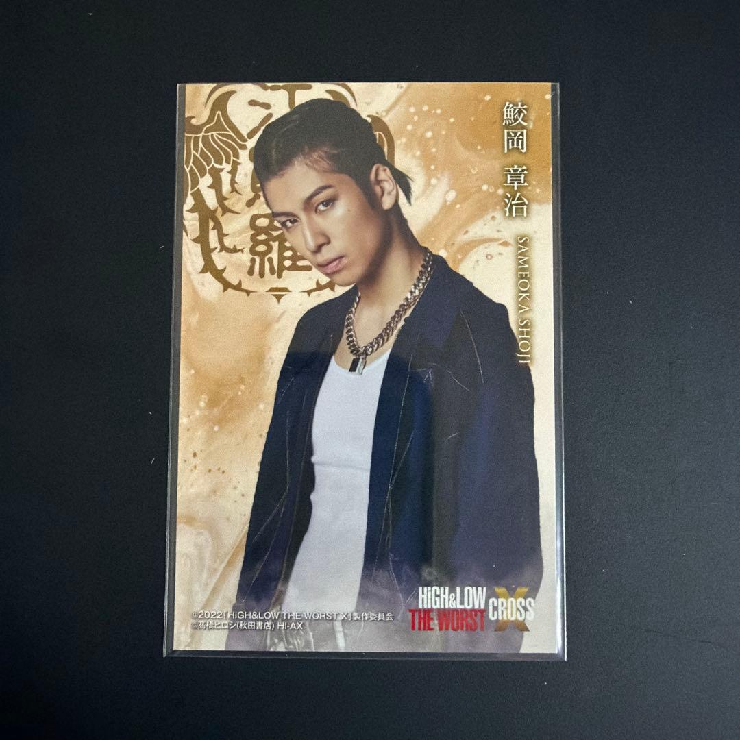 HiGH & LOW THE WORST X 鮫岡章治 フォトカード 長谷川慎 - メルカリ