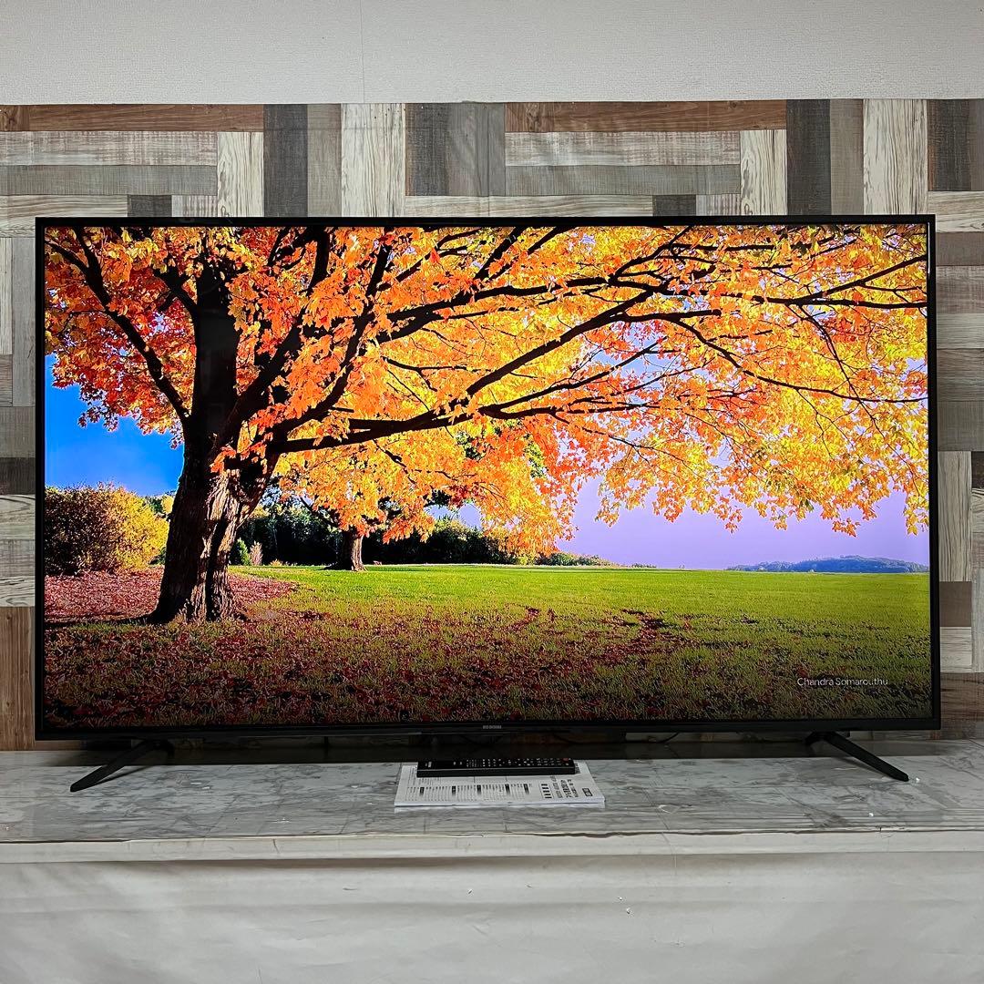 うすらはげ。さん専用直接受渡アイリス65V型 4K対応 液晶テレビ 65U