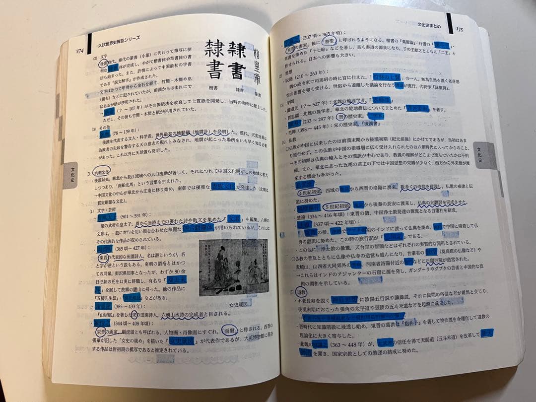 2023年度 鉄緑会 確認シリーズ 確シリ 世界史 - メルカリ