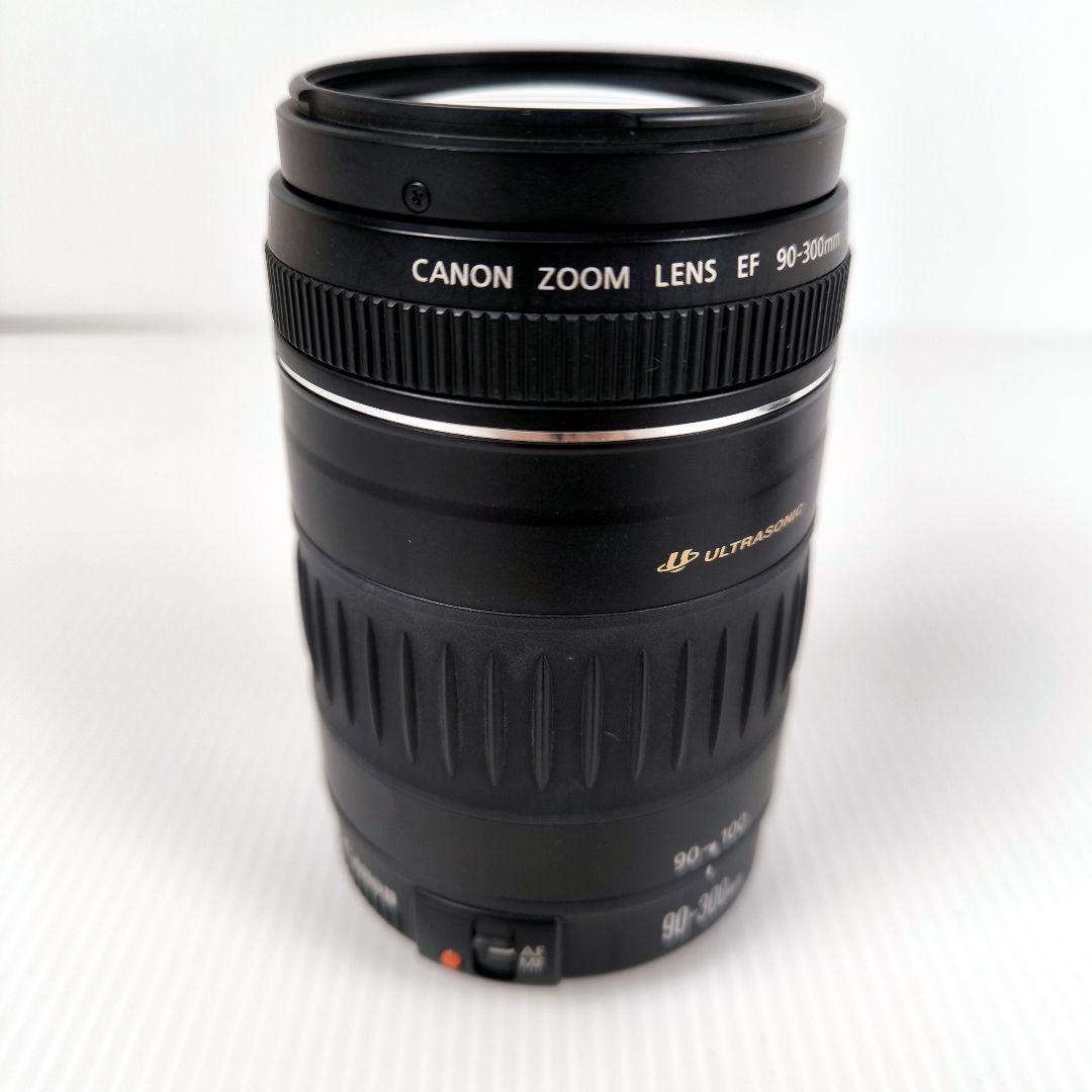 Canon EF 90-300mm F/4.5-5.6 望遠レンズ