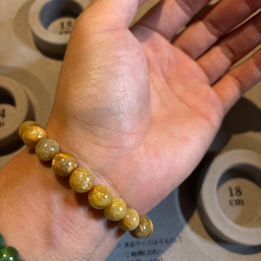 これは！めっちゃくちゃすんごい！密集ゴールドルチル！すごすぎ！