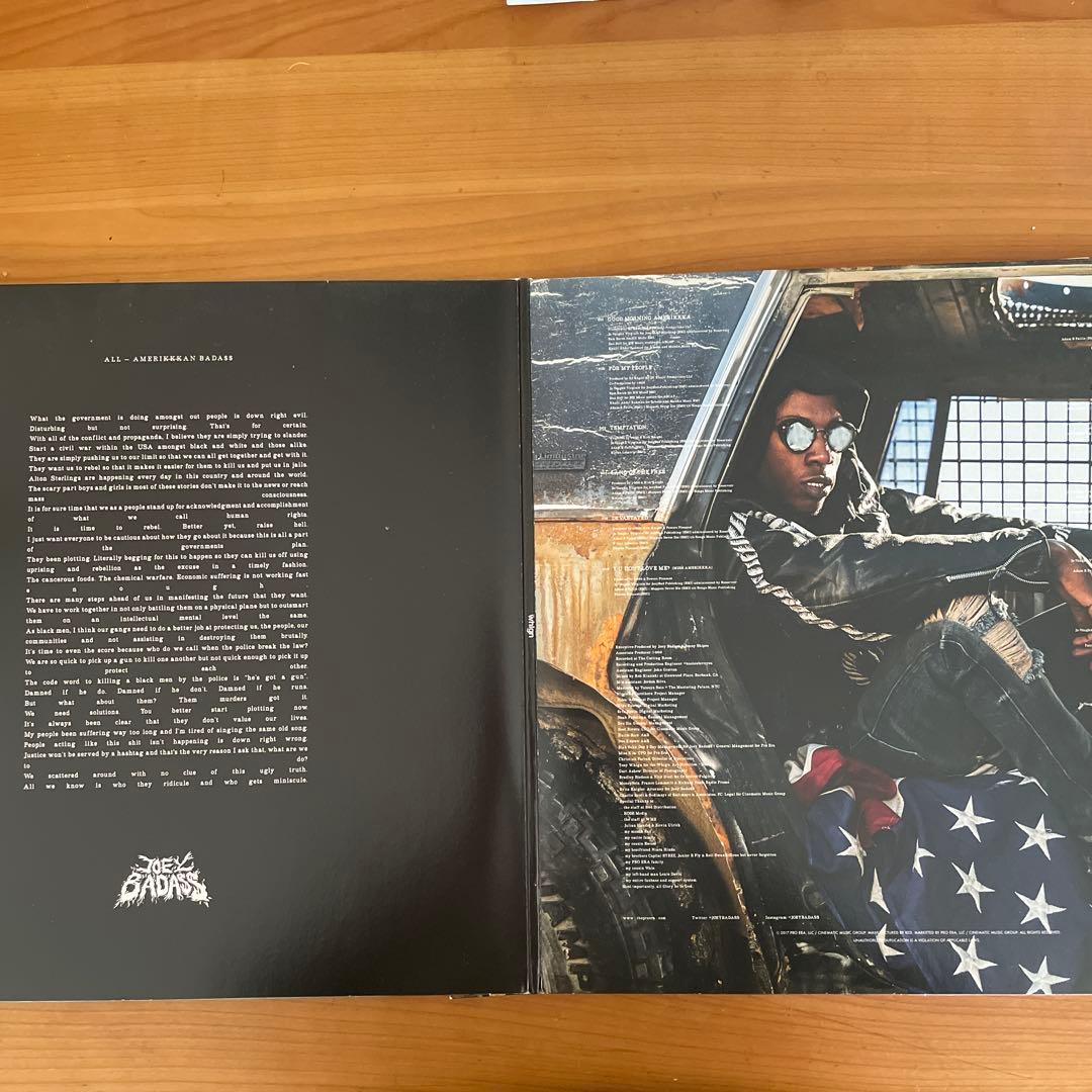 洋楽 JOEY BADA$$ ALL-AMERIKKKAN BADA$$