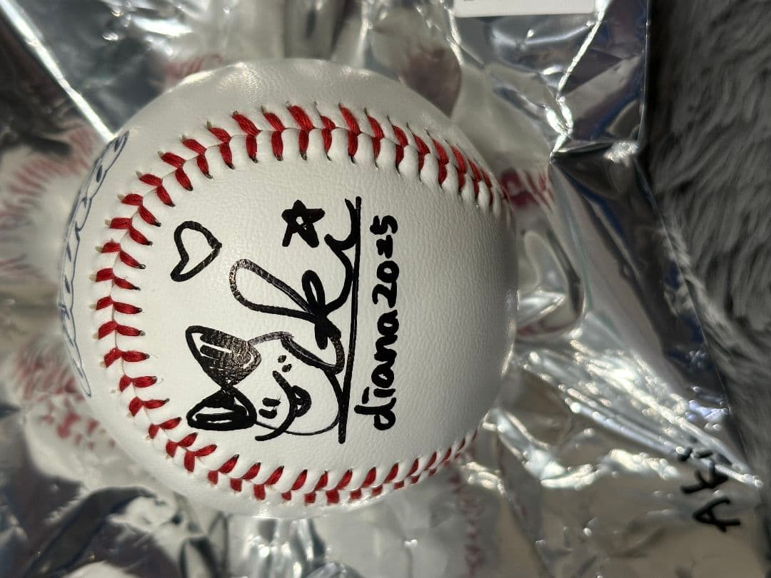 ベイスターズ diana Aki 直筆サインボール 20th缶バッジ - メルカリ