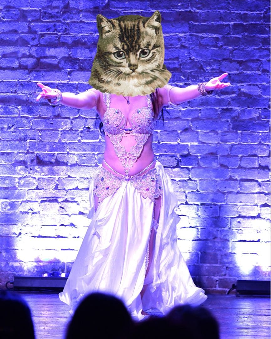 ベリーダンス衣装 ウクライナ製 Aida Style