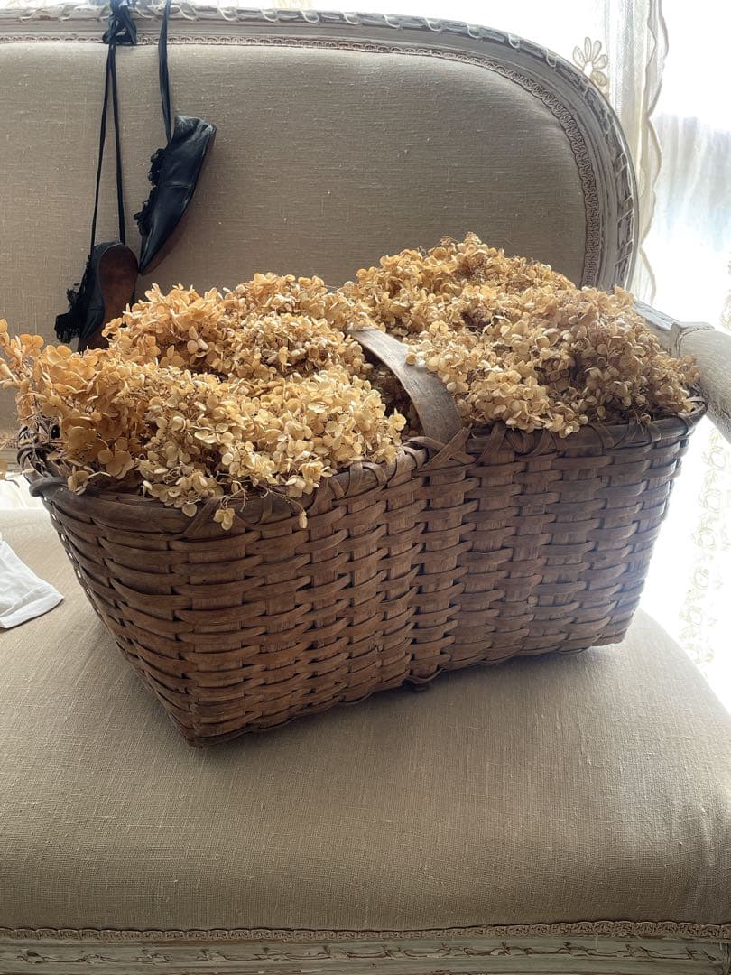 フランスアンティーク　特大パニエ　ドライフラワー　アナベル　バスケット　カゴ 花摘みパニエ フラワーバスケット かご | Brocante de La Cocotte