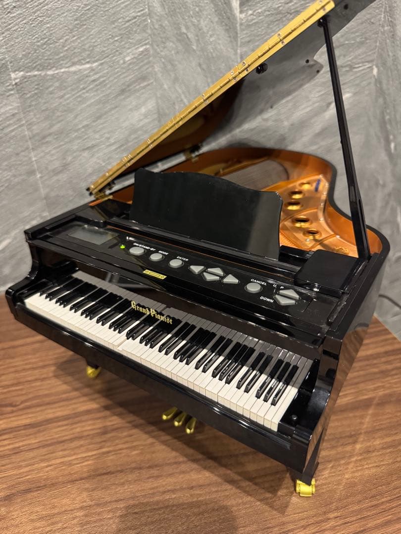 廃盤 グランドピアニスト セガトイズ SEGATOYS 動作確認済 SDカード付