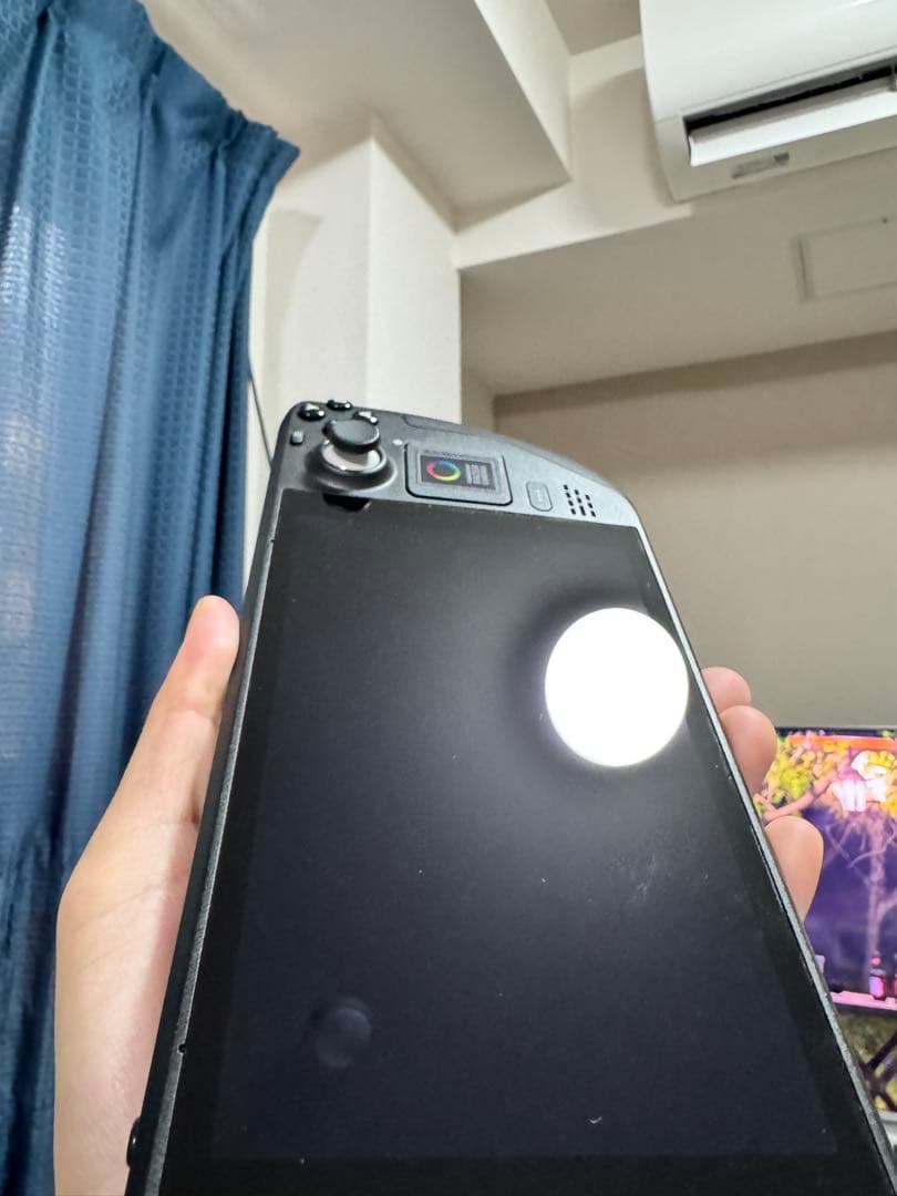 Steam Deck 256gb スチームデック LCD 専用ケース付き