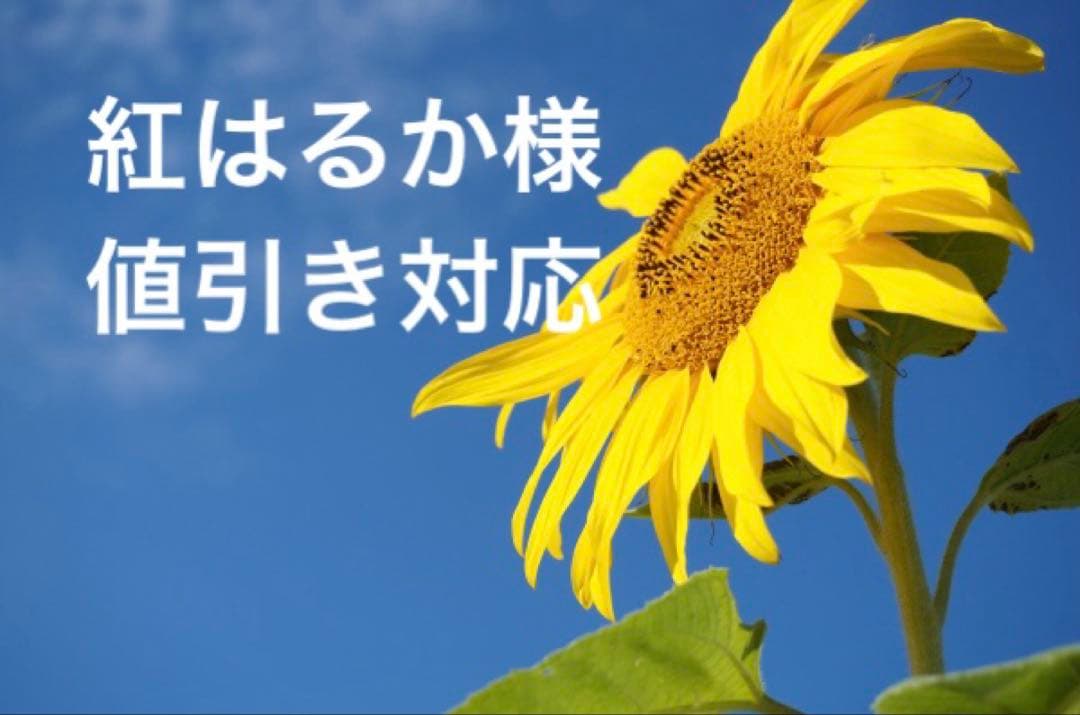 紅はるか様 紅はるかLサイズ|Fineファーム