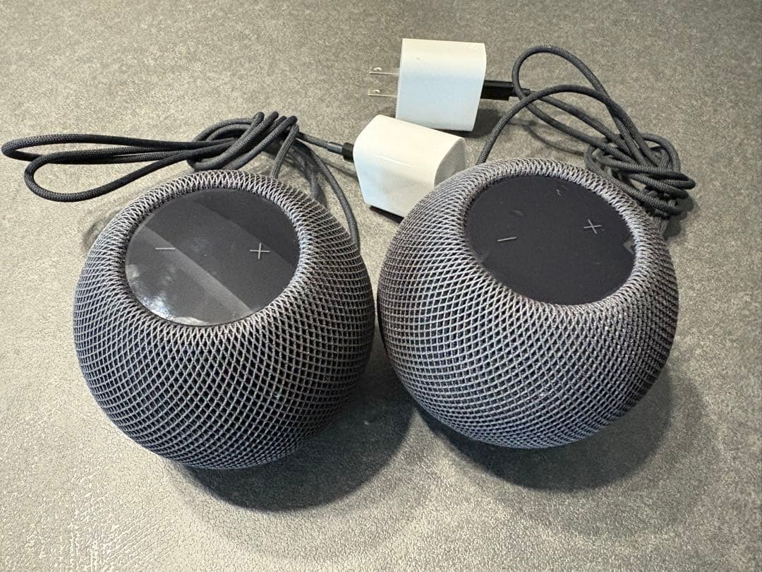 Pod mini ブラック 2個セット EX-NEXT LDT ブラックSP MINI-Z EVO2 レシーバーユニット付きダブル