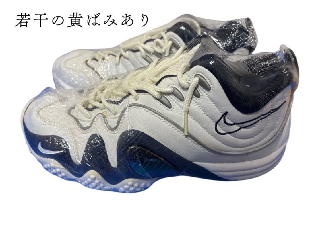 激レア　NIKE AIR zoom flight 5 26.0cm