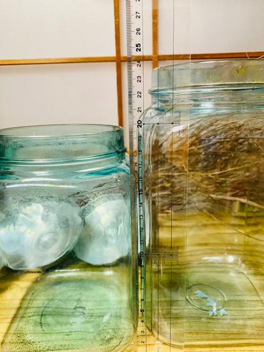 青鬼様専用 レトロ 飴屋瓶 アルミ蓋付 ガラス瓶 気泡ビン アンティーク