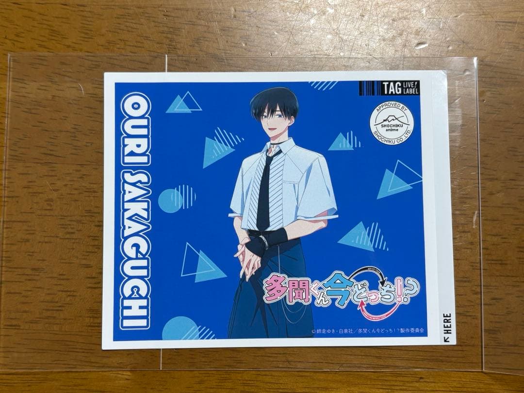 多聞くん今どっち！？サントリー ラベル缶 ステッカー 坂口桜利、木下