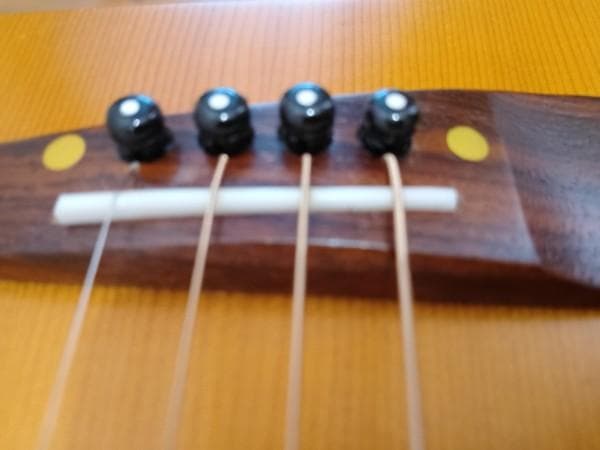 美品メンテナンス済み　一五一会　音来