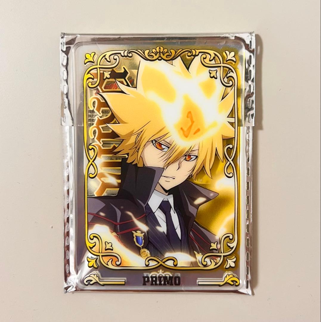 家庭教師ヒットマンREBORN ボンゴレⅠ世 プリーモ ステータスカード