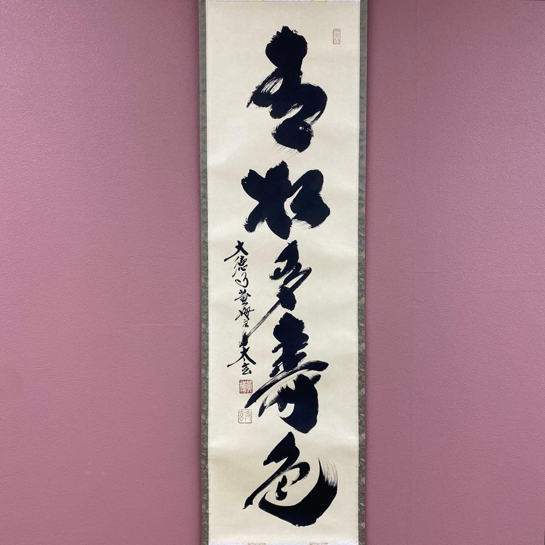 美品 掛け軸 小林太玄作「青松多寿色」黄梅院 共箱 禅語 縁起物 - メルカリ