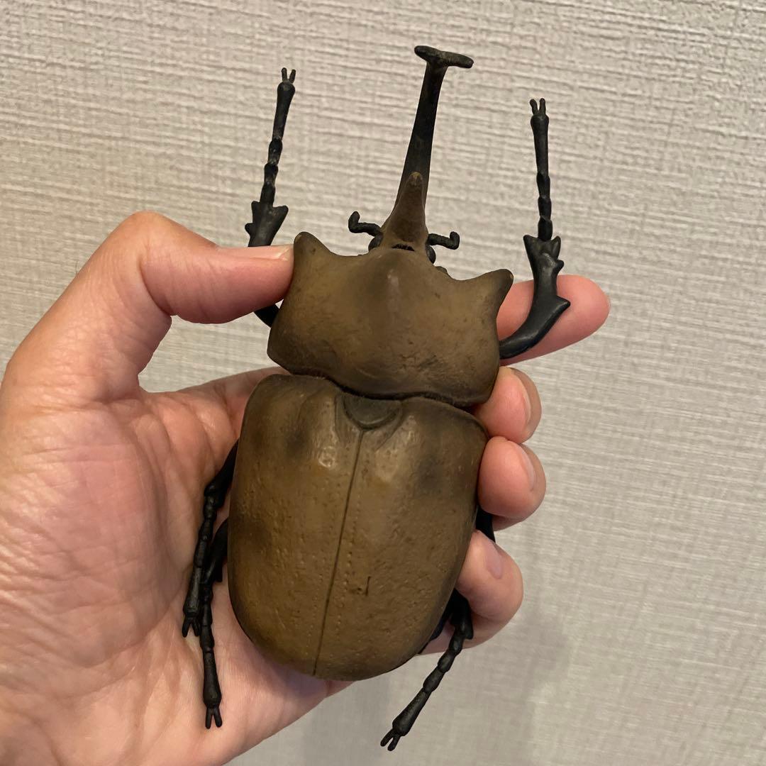 エレファスゾウカブト‪ フィギュア 昆虫標本 約16cm、105g - メルカリ‬