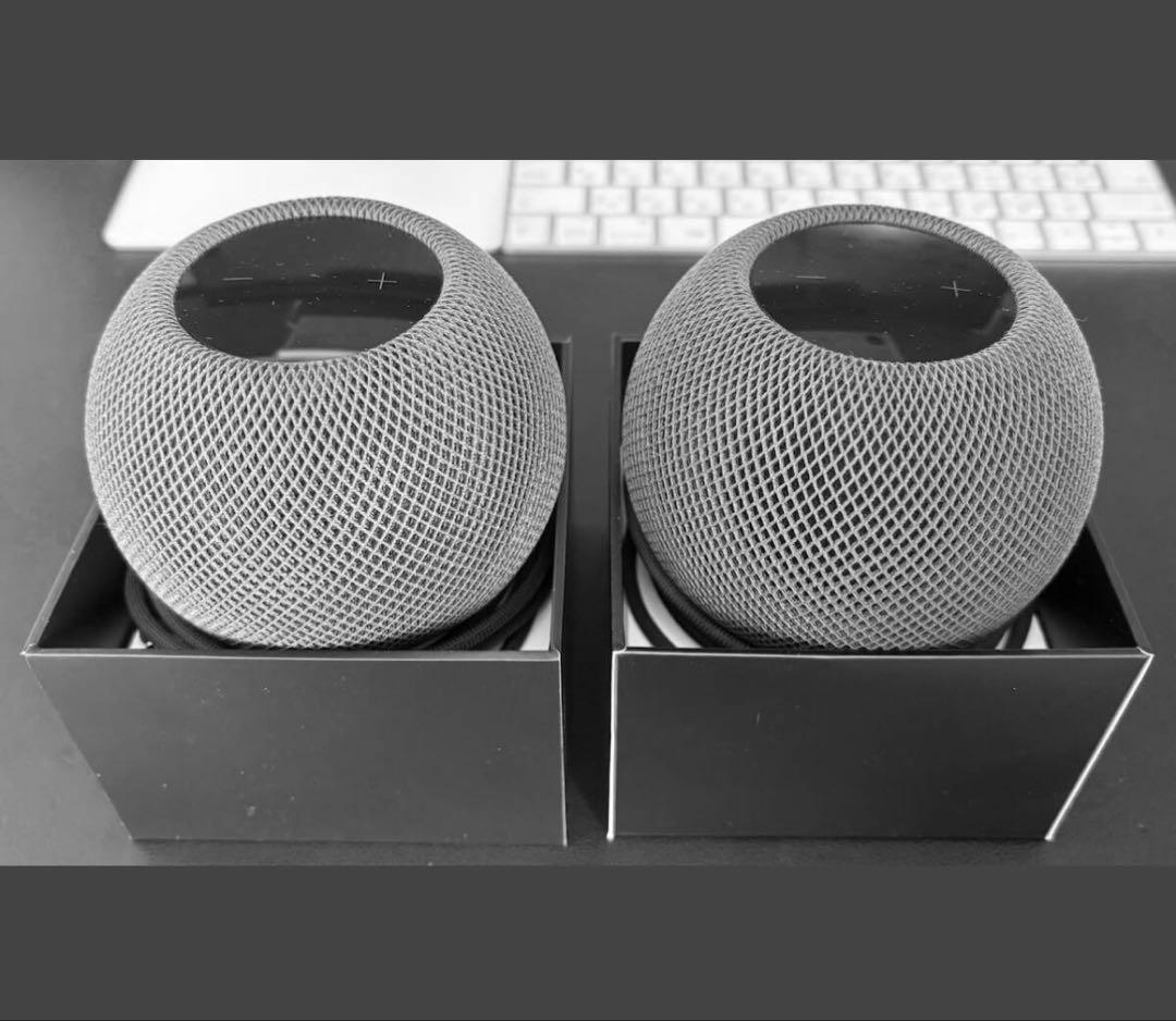 【美品】Apple Pod mini スペースグレイ （ペア） スマートスピーカー HomePod mini スペースグレイ MY5G2J/A [Wi-Fi対応