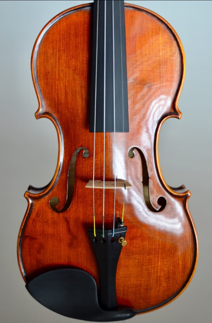 超美品】Gliga CRISTIAN バイオリン 4/4 - メルカリ