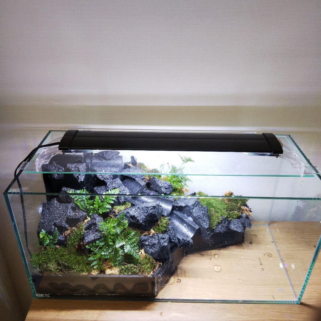 受注生産】滝の流れるアクアテラリウム イモリウム 苔 水槽 苔