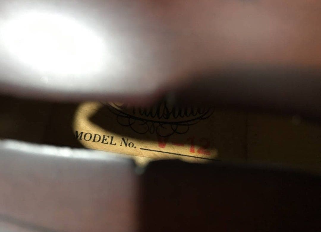 バイオリン本体 ブラウン ハードケース付き バイオリン本体 ブラウン