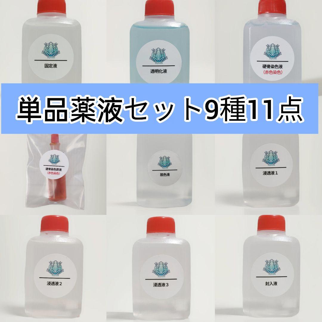 【透明標本作製キット】(上級) 薬液のみ 全9種類 11点 各100ml 透明標本作製キット】(上級) 薬液のみ 全9種類 11点 各100ml 透明標本