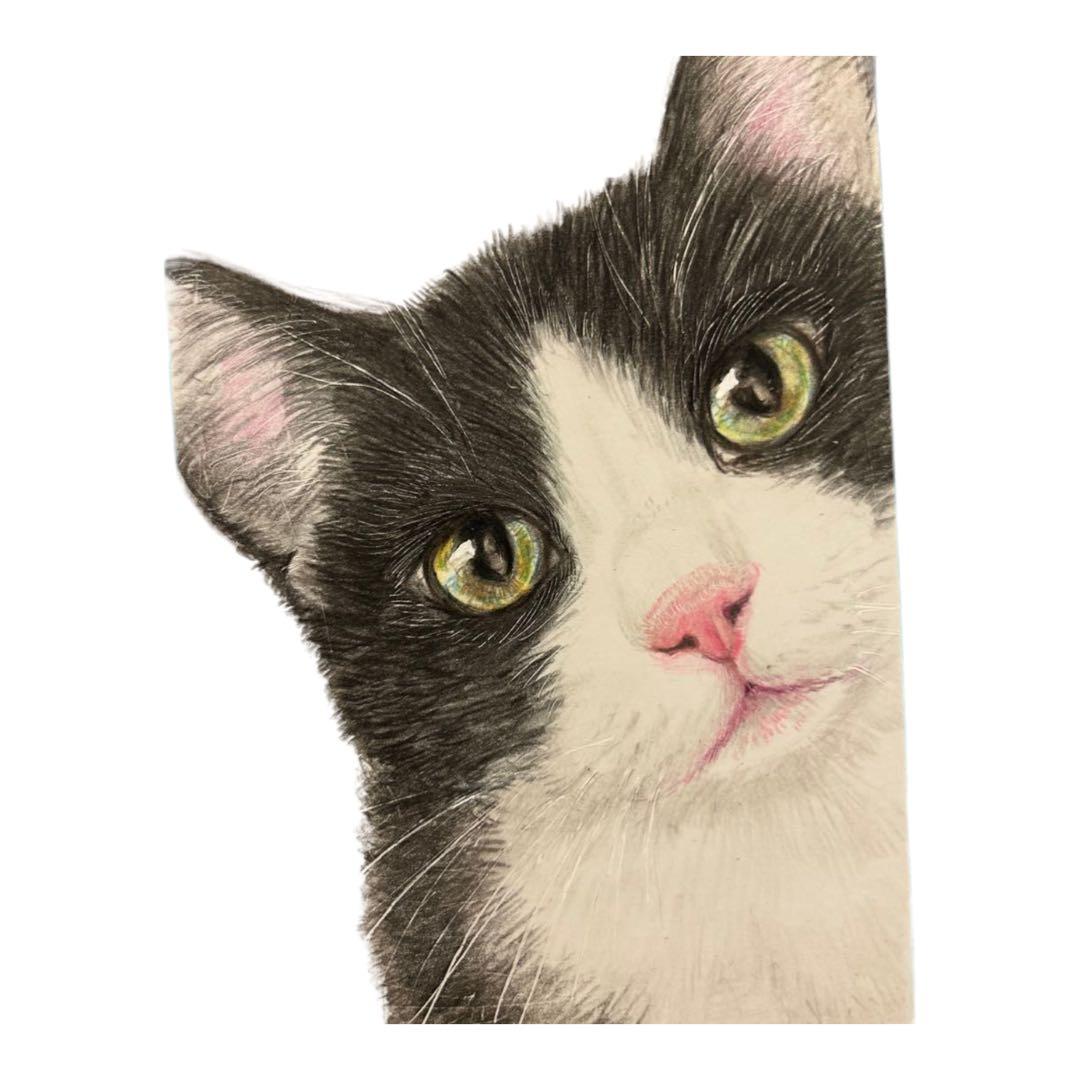 猫 絵画 子猫 イラスト 水彩色鉛筆 油彩色鉛筆 原画 手書き ハチワレ猫